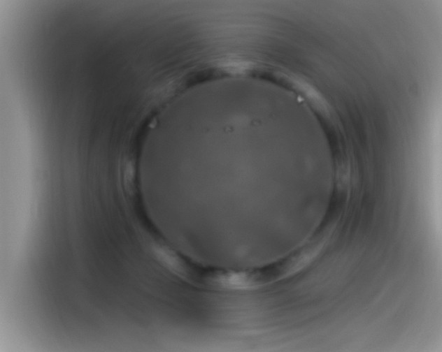 X0000115490365200911131240