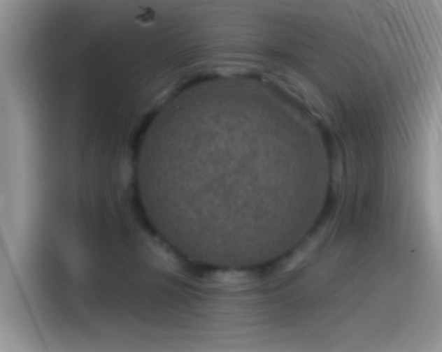 X0000115490367200911131240