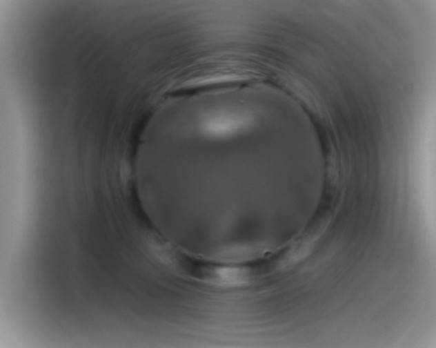X0000115490371200911131240