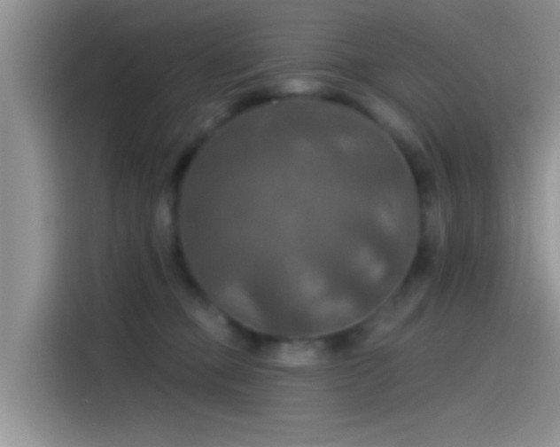 X0000115490373200911131240