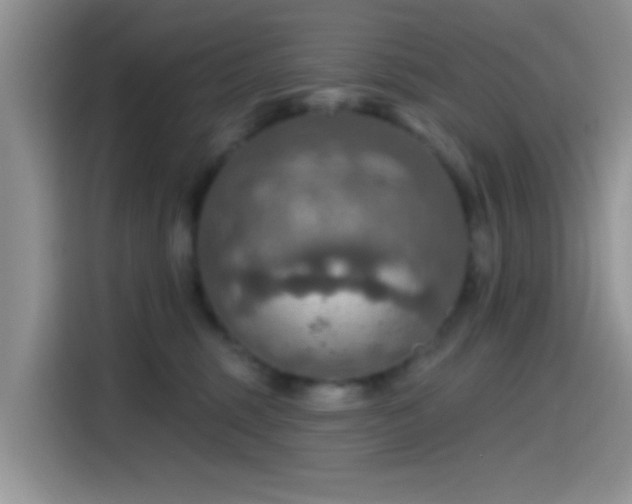 X0000115490375200911131240