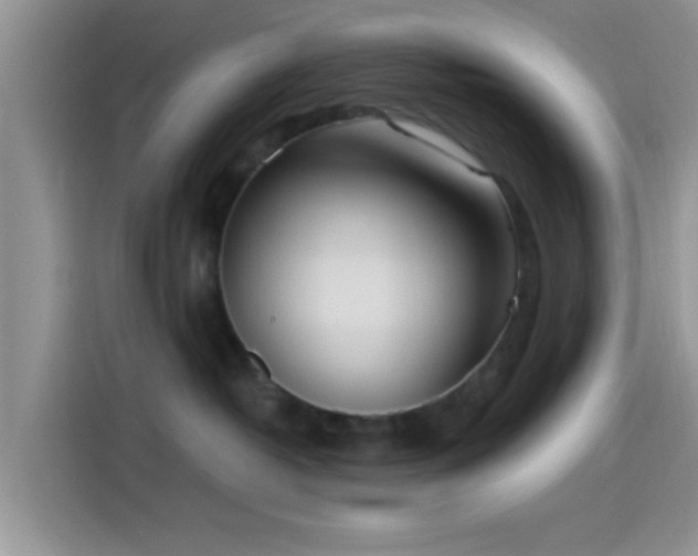 X0000115490382200911131240