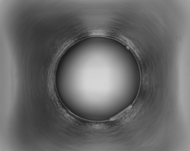 X0000115490385200911131240