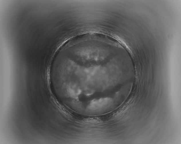 X0000115490386200911131240