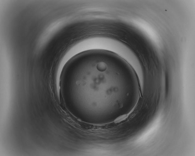 X0000115490387200911131240