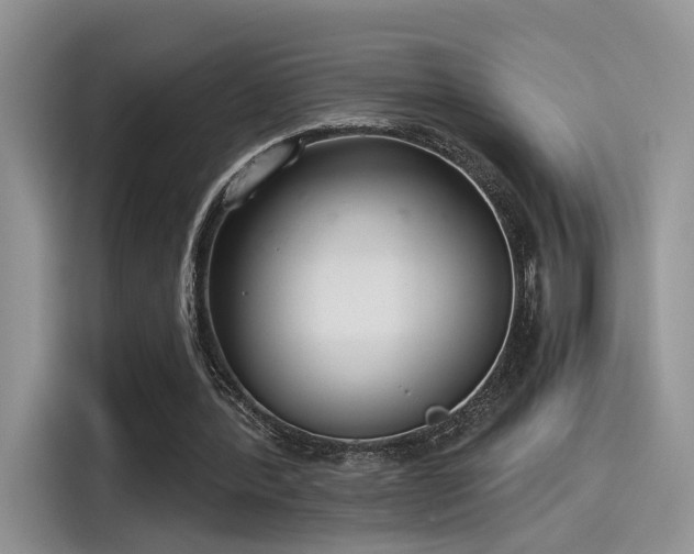 X0000115490388200911131240