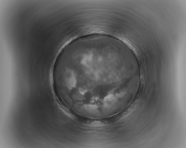 X0000115490390200911131240