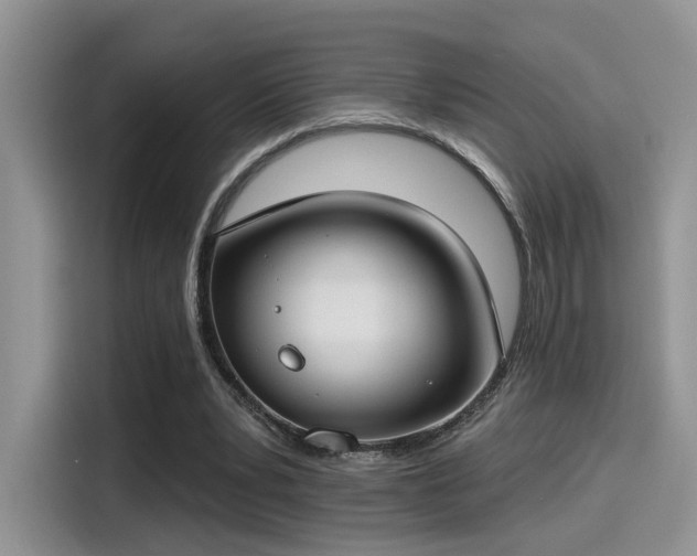 X0000115490391200911131240