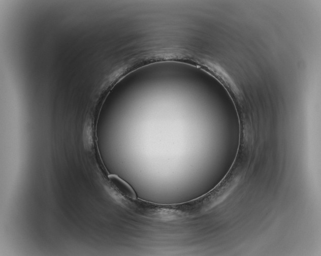 X0000115490393200911131240