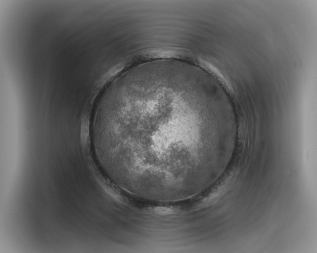 X0000115490394200911131240