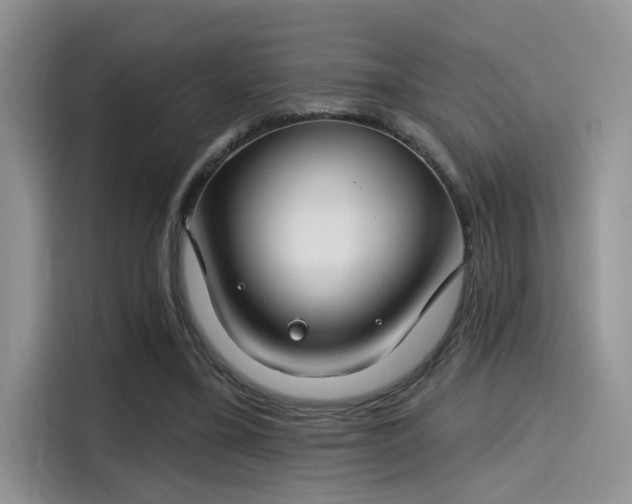 X0000115490395200911131240