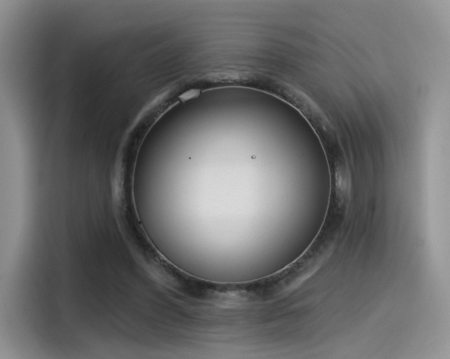 X0000115490396200911131240