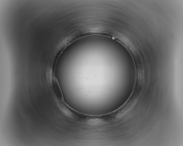 X0000115490397200911131240