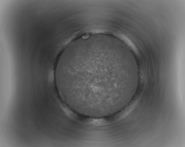 X0000115490401200911131239