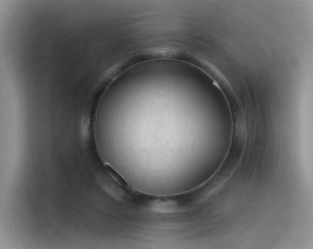 X0000115490403200911131239