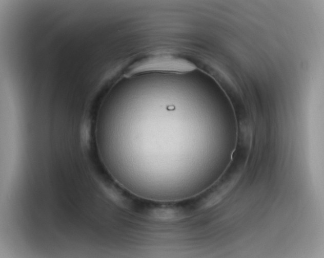 X0000115490404200911131239