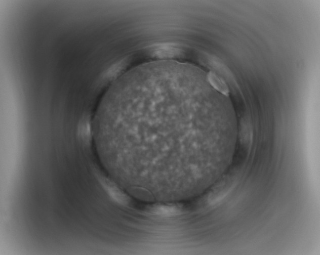 X0000115490405200911131239