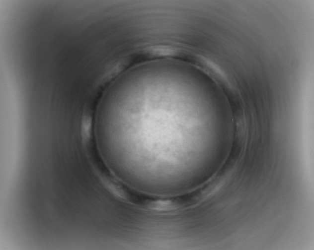 X0000115490406200911131239