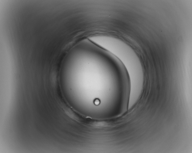 X0000115490409200911131239