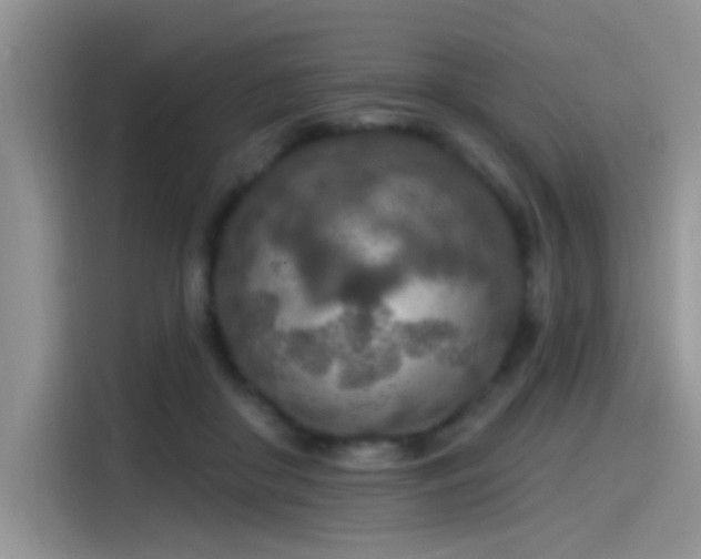 X0000115490410200911131239