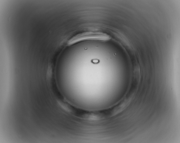 X0000115490412200911131239