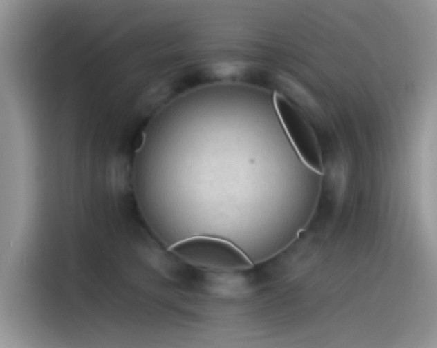 X0000115490421200911131239