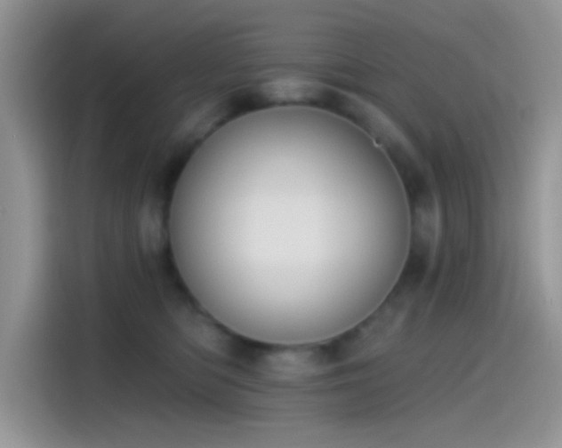 X0000115490422200911131239