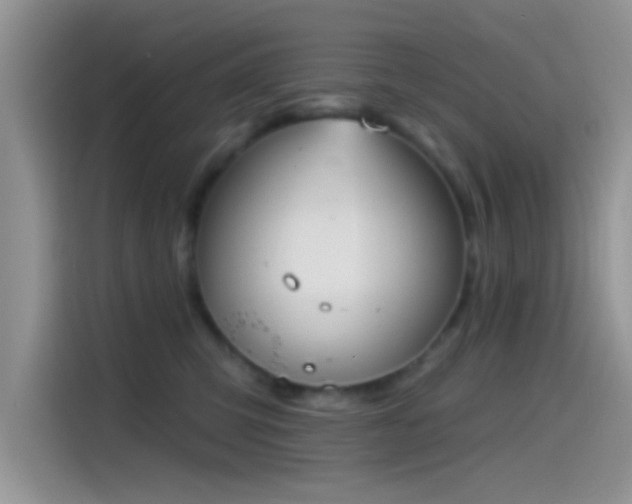 X0000115490423200911131239
