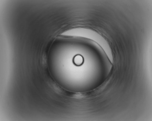 X0000115490425200911131239