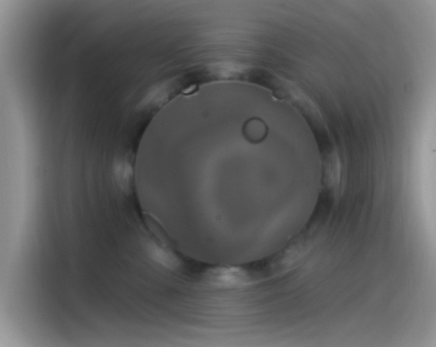 X0000115490427200911131239