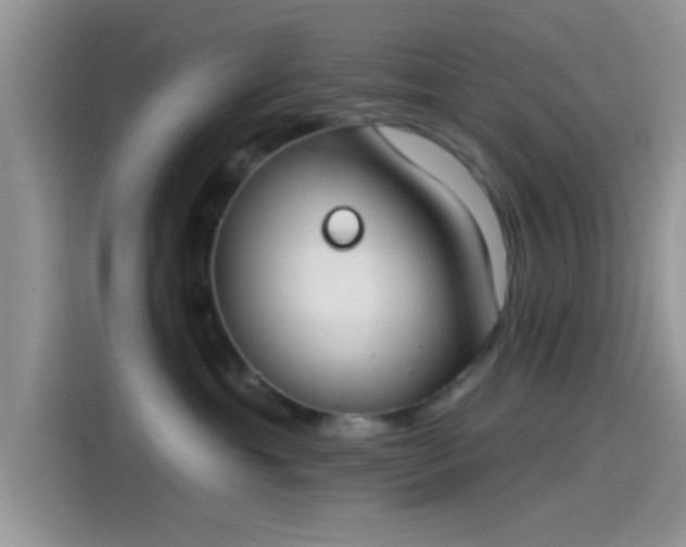 X0000115490429200911131239
