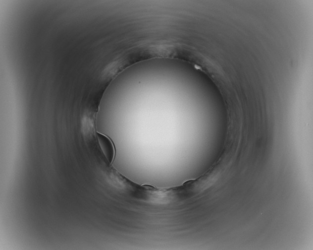X0000115490432200911131239