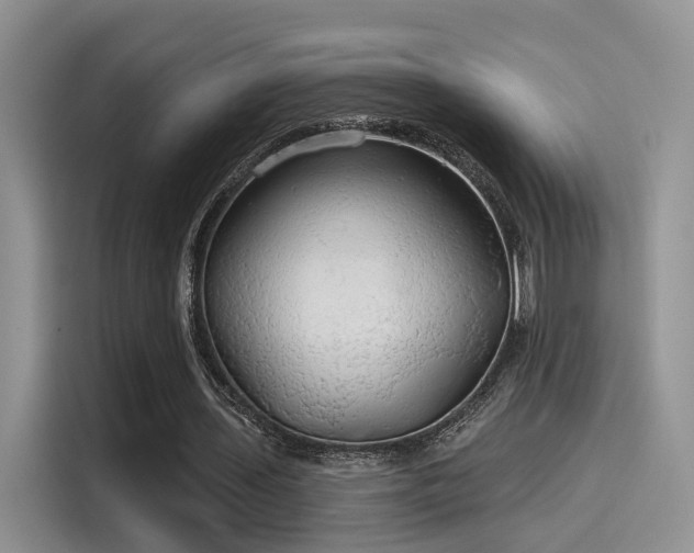 X0000115490435200911131238