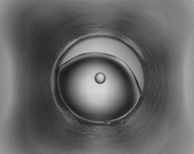 X0000115490436200911131238