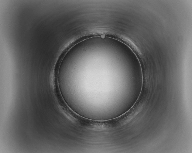 X0000115490439200911131238