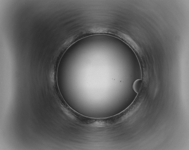 X0000115490441200911131239