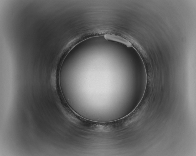 X0000115490442200911131239