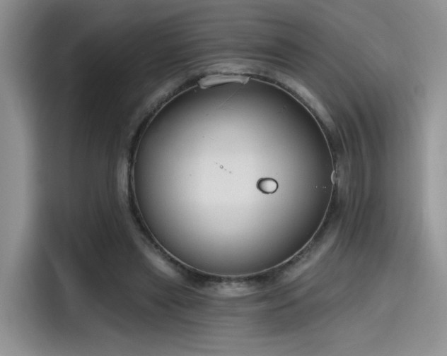 X0000115490445200911131239