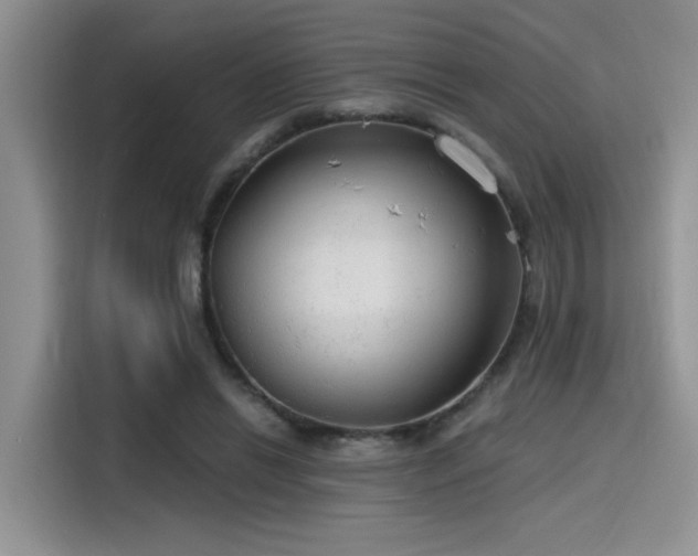 X0000115490446200911131239