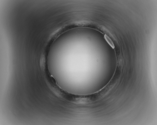 X0000115490448200911131239