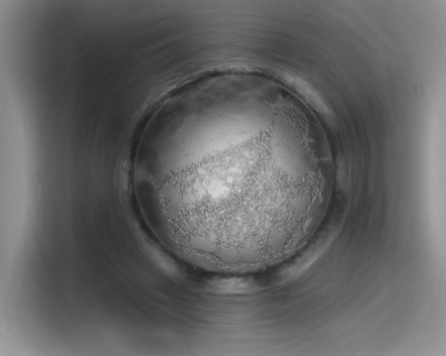X0000115490449200911131239