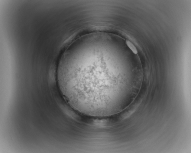 X0000115490450200911131239