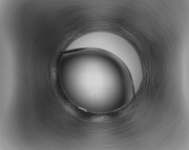 X0000115490452200911131239