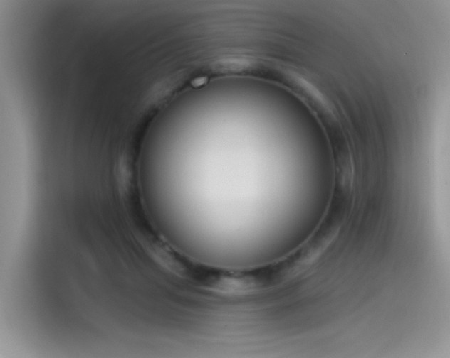 X0000115490455200911131239