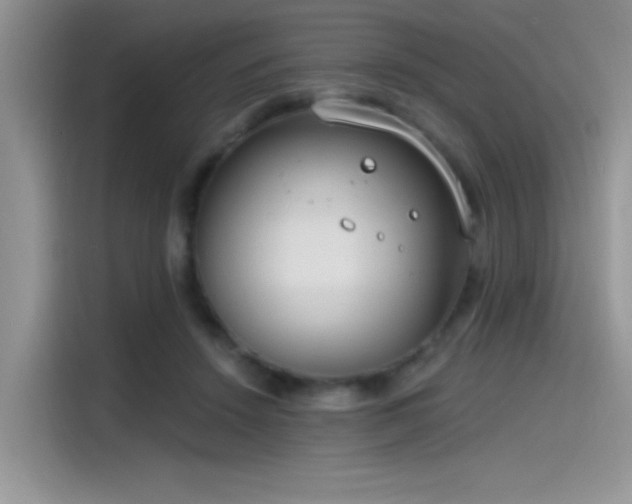 X0000115490456200911131239