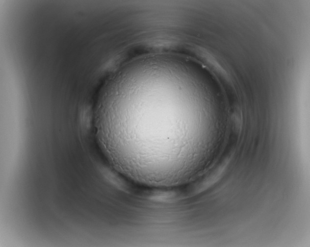 X0000115490458200911131239