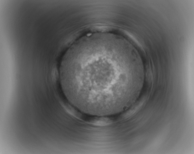 X0000115490459200911131239