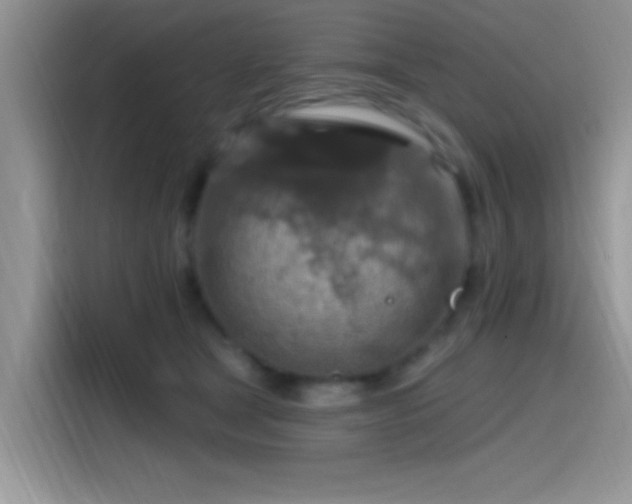 X0000115490465200911131239