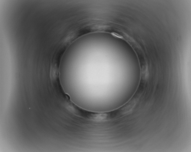 X0000115490474200911131239