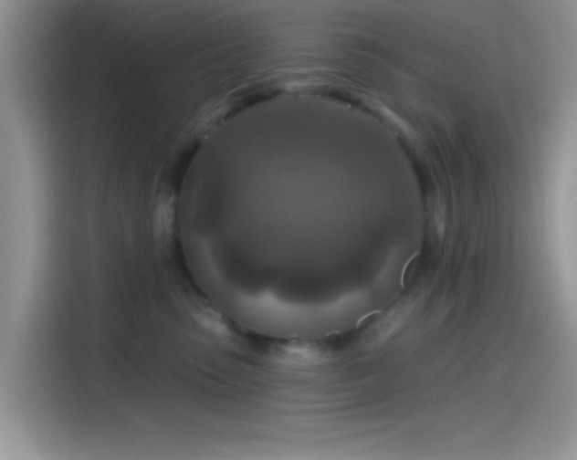X0000115490475200911131239